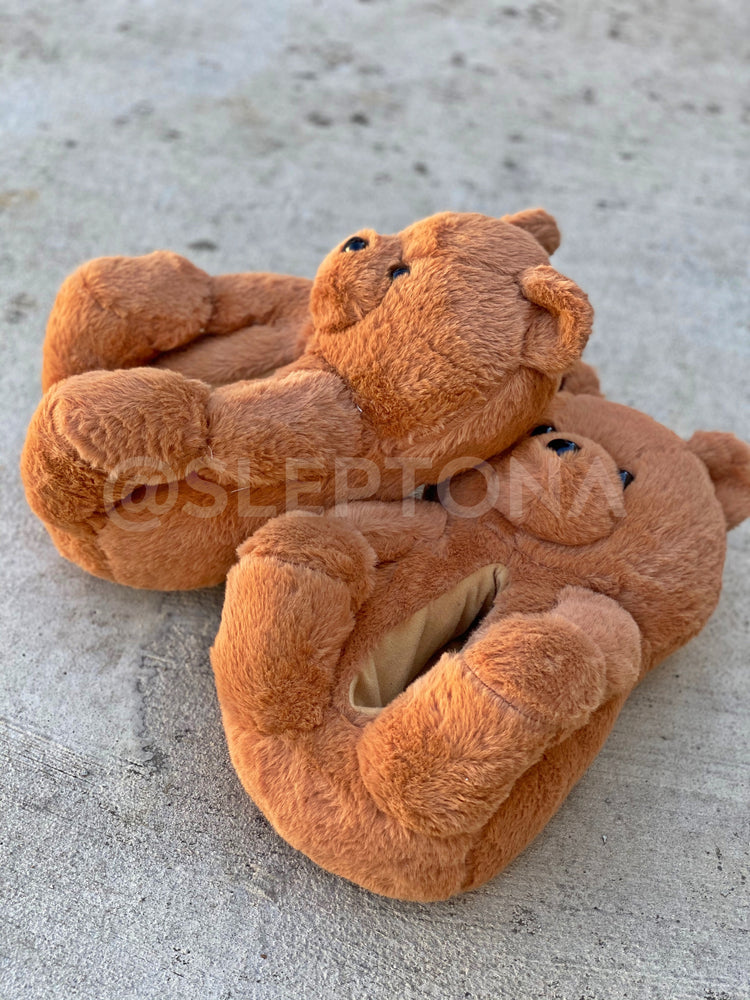 Teddy Bear Slippers (5-9ft)