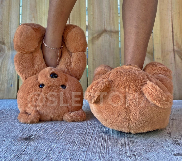 Teddy Bear Slippers (5-9ft)